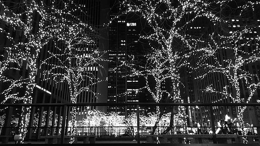 Nova York, Nadal, l'hivern, ciutat, nou, York, paisatge urbà