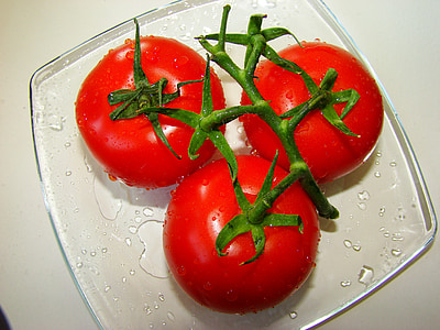 Tomaten, Gemüse, die Tomaten auf dem Ast