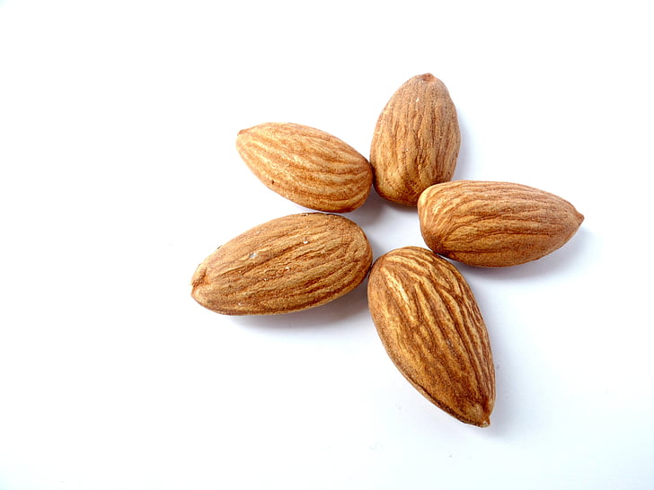 almond, eat, flower, tasty, healthy, food, nuts