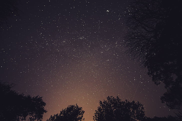 svart, siluett, träd, stjärnklar, Sky, stjärnor, stjärnhimmel