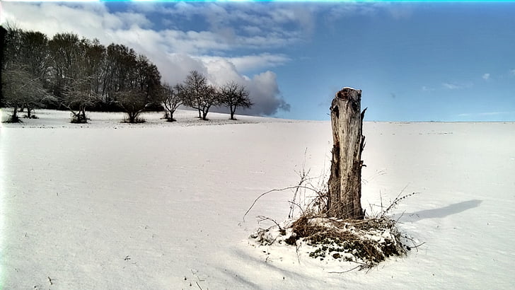 l'hivern, neu, schneelanschaft, resta, sol d'hivern, fred, blanc