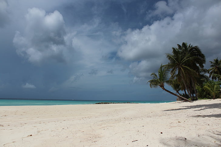 caribbean, mar, sol, sand, beach, nature, beira mar