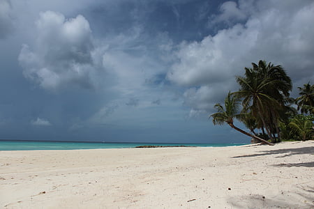 Karibská oblast, březen, Sol, písek, pláž, Příroda, Beira mar