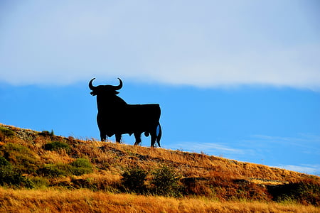 Espagne, Osborne, Bull, vacances, été, nature, animal