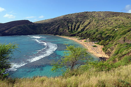 ハワイ, シュノーケ リング, 旅行, 熱帯, シュノーケル, ビーチ, 自然