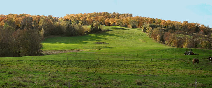 Vermont, louka, na podzim, pole, země, pohled, sezónní