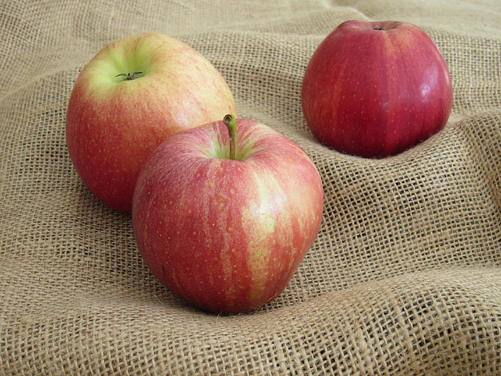 obuolių, derliaus, vaisių, rudenį, Sutemos ir Aušra, Gamta, obuolių dėžė