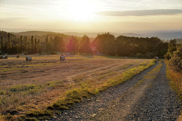 path, field, landscape, field trip, summer, sunset, light