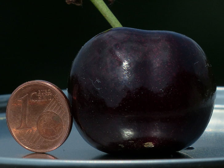 cherry, large, huge, size comparison, cent, penny, coin