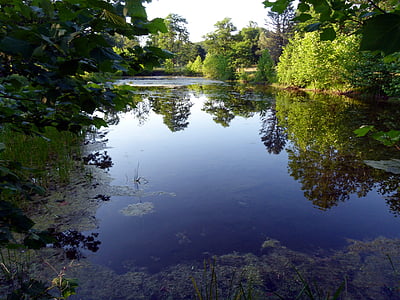 Lake, reflectie, bomen, water, natuur, landschap, hemel