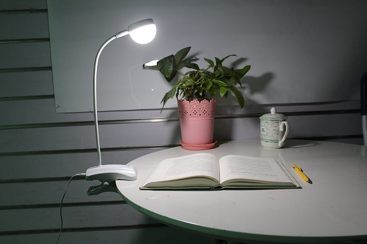 stolní lampa, noční světlo, učení, otevřít knihu, Reed, pozdě v noci, studie