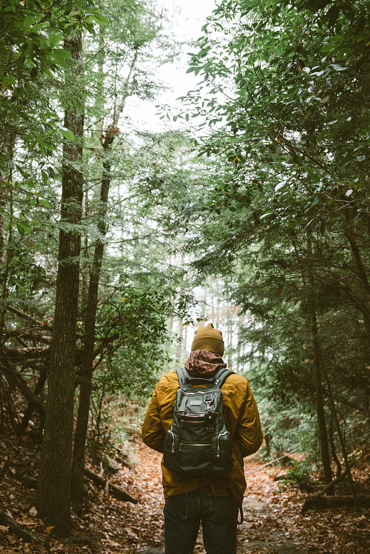 uomo, arancio, giacca, boschi, zaino, persone, escursionismo