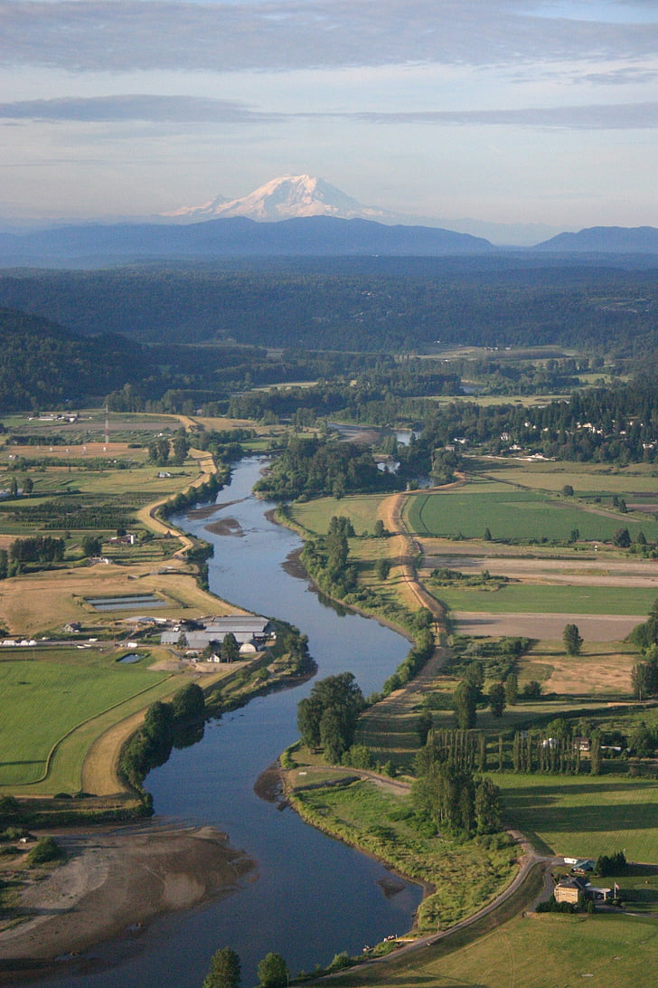 montaña, Rainer, Snohomish, Estado de Washington, globo de aire caliente, verano, campo