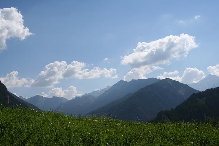 Alpine, Mountain meadow, sommer, bjerge, Mountain, natur, udendørs