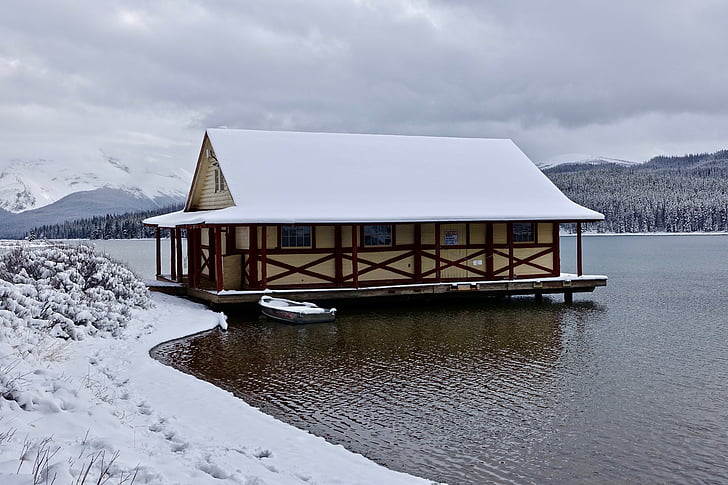 Cottage, hiver, neige, Lac, en bois, distant, nature sauvage