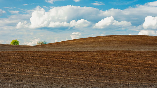 field, agriculture, sky, brown, farm, clouds, cloudy