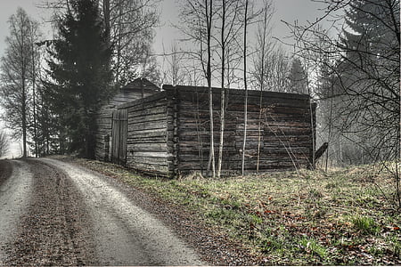 sweden, countryside, house, rural, landscape, cottage, wood