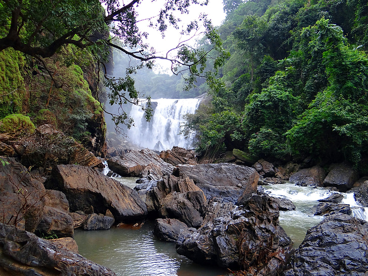 sathodi falls, de daling van de water, bos, Kali river, Uttar kannada, West-ghats, Bergen