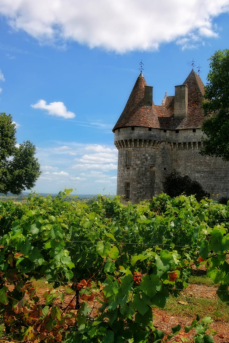 Franciaország, Dordogne, Périgord, szőlő, Castle, Monbazillac