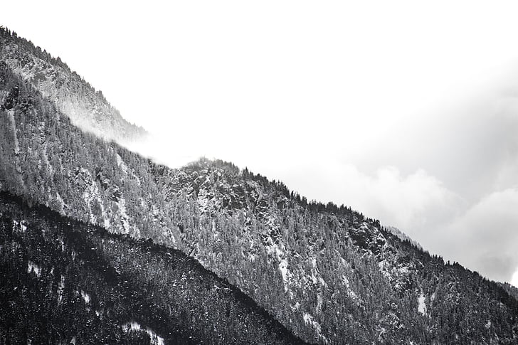 оттенки серого, фотография, Гора, дневное время, Зима, снег, деревья