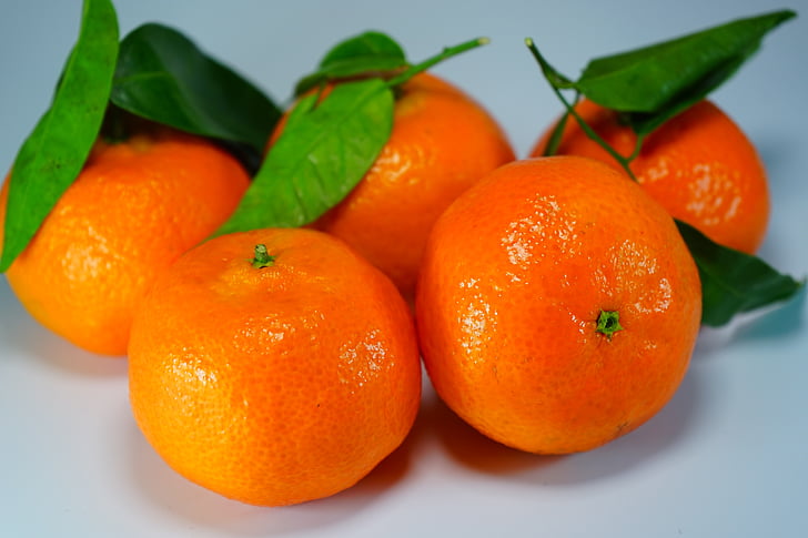 laranjas, tangerinas, clementinas, frutas cítricas, laranja, frutas, folhas