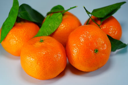 narancs, mandarin, klementin, citrusfélék, narancs, gyümölcsök, levelek