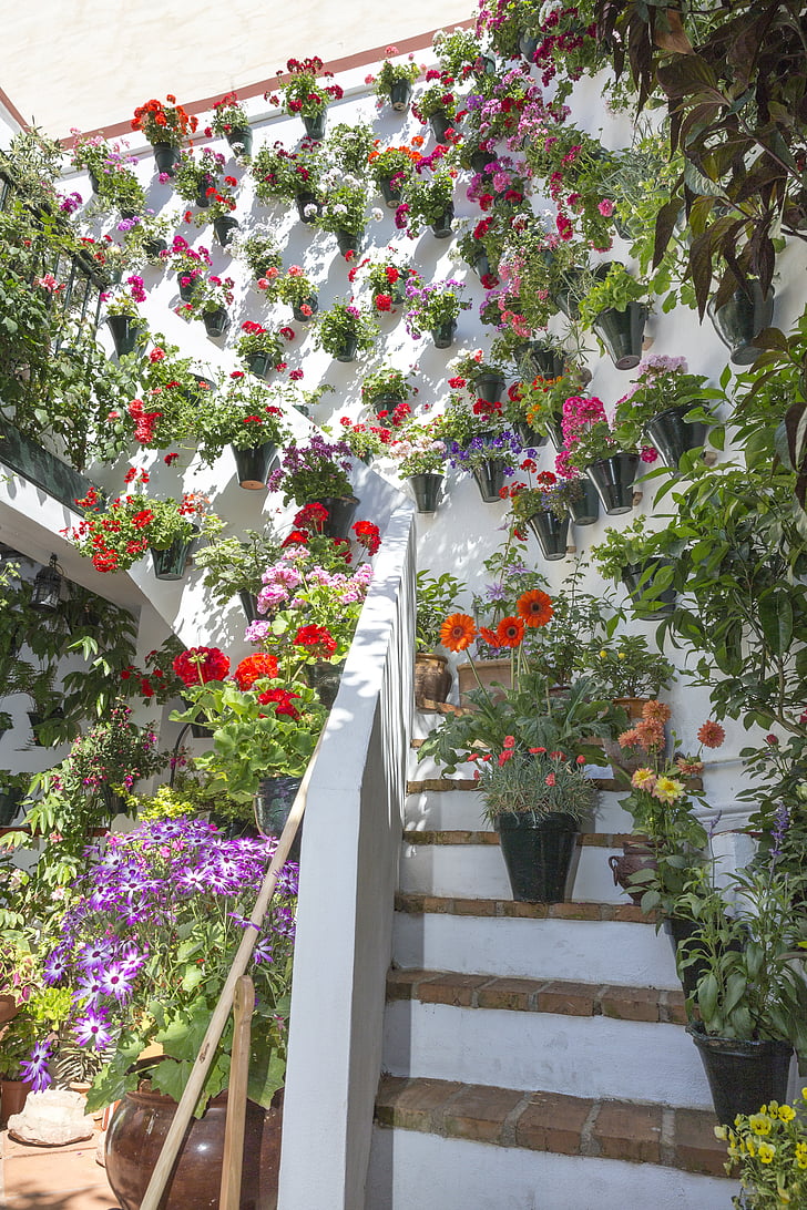 belső udvarok, Cordoba, patios de córdoba, Spanyolország, virág, virágcserép, virágok