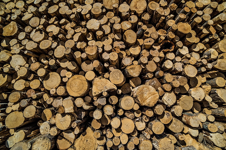 legno, legname, legname, trama, grano, registri, modello