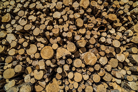 madeira, madeira serrada, madeira, textura, grão, logs, padrão