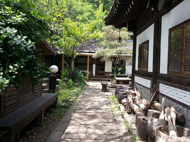 paysage, architecture, République de Corée, bâtiment, maison, bois - matériau, arbre