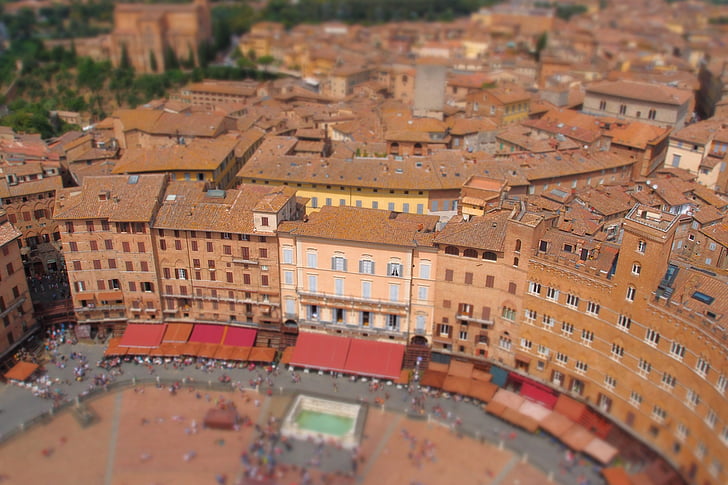 sienna, italy, piazza del campo, tilt, red roof, area, top view