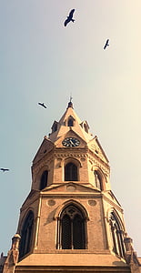 уряд коледжу Лахор, гПа, уряд коледжу університету, Лахор гПа, Головна будівля гПа, башта годинника, башта годинника гПа