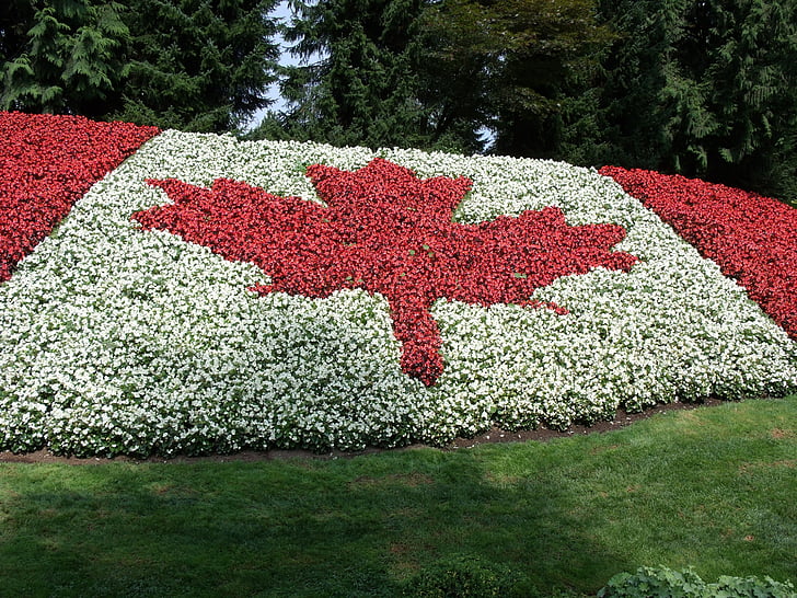 Kanāda, karogs, minter, dārzi, Agasī, BC, Kanādas