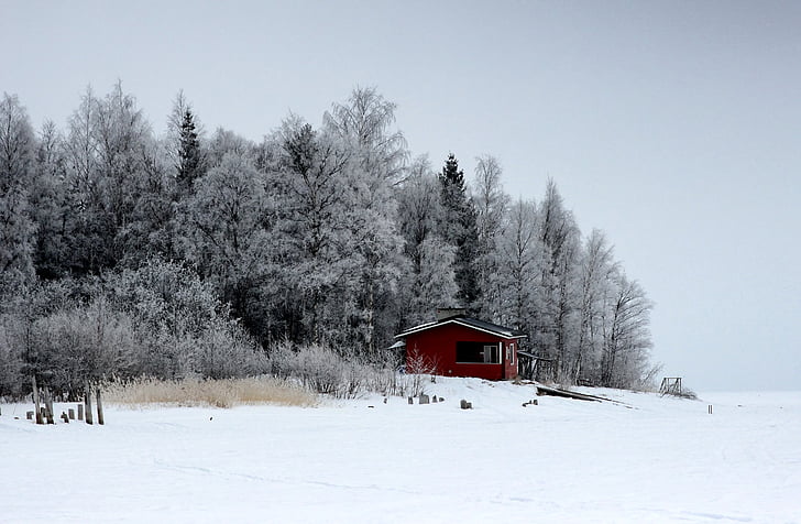 Finsko, krajina, malebný, Les, stromy, Woods, Zimní
