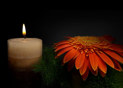 sadness, candle, flower, mourning, grabschmuck, memory, death