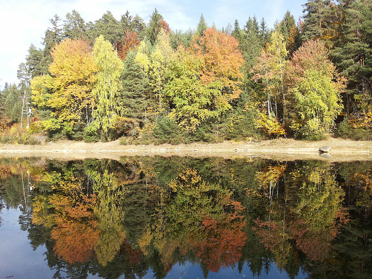 hösten, sjön, skogen, landskap, träd, vatten