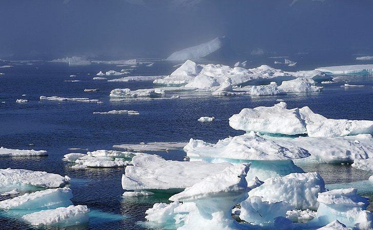 icebergs, sea, ice, greenland, arctic circle, cold, polar region