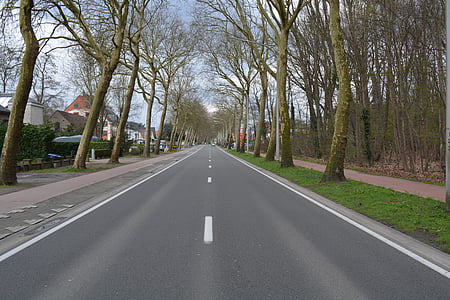 Road, puut, Asfaltti