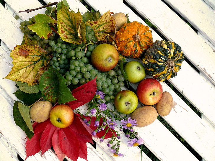 ผลไม้, การเก็บเกี่ยว, ฤดูใบไม้ร่วง, ขอบคุณพระเจ้า, องุ่น, แอปเปิ้ล, สไตล์กัดความอุดมสมบูรณ์