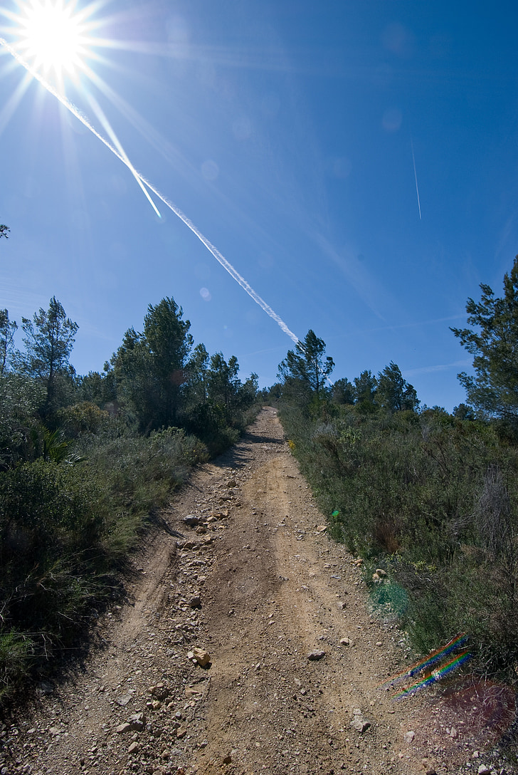 trail, track, sun, sky, nature, summer, outdoor