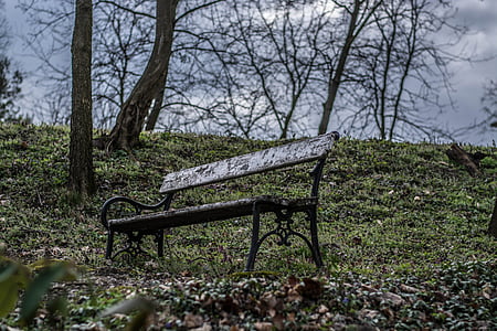 lonely, pad, in autumn, bench, nature, tree, outdoors