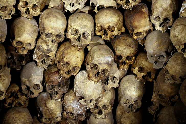 skeleton, head, bones, people, human skull, human skeleton, healthcare and medicine