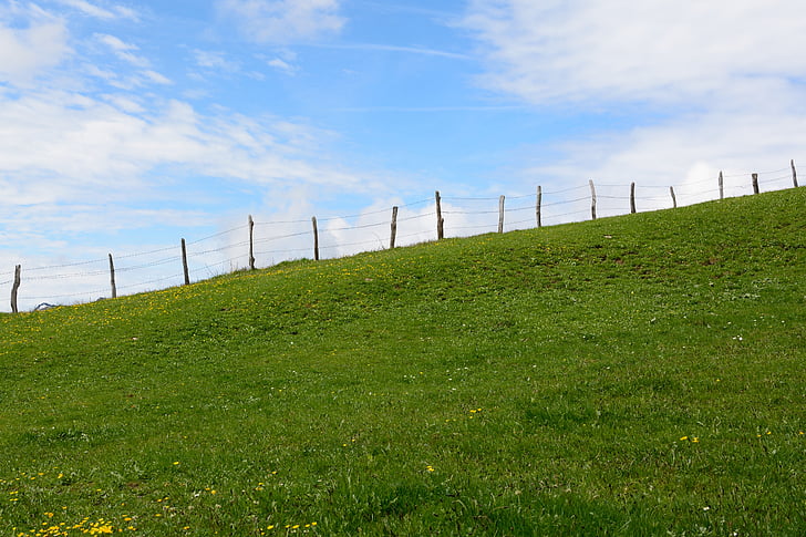 demarcation, barbed wire, fence, hill, mountain, slope, meadow