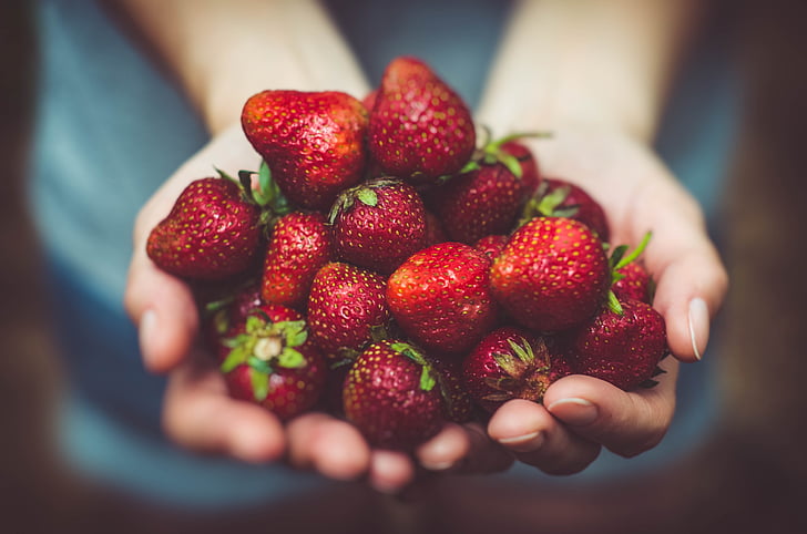 close-up, mad, frisk, frugter, hænder, makro, jordbær