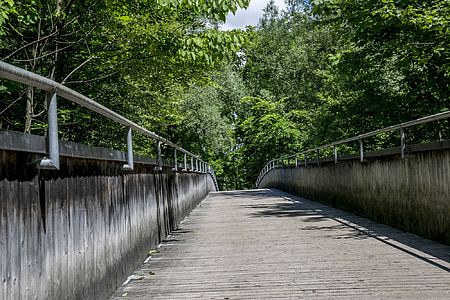 web, bridge, hiking, wooden bridge, railing, transition, trail