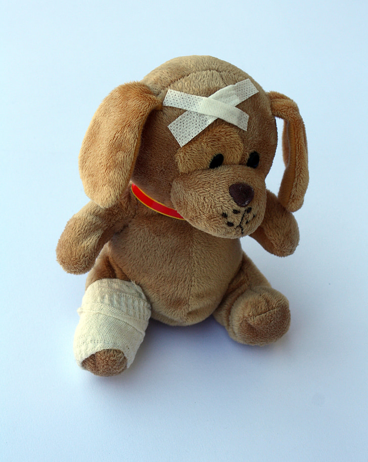 teddy, dog, stuffed animal, ill, injured, fever, broken