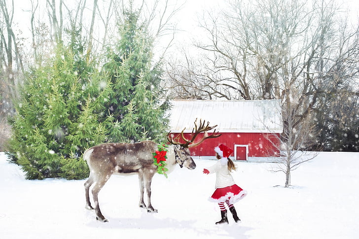 jul scene, Reinsdyr, liten jente, Santa jente, snø, Christmas, Vinter