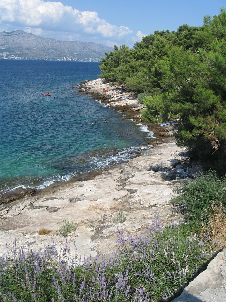 jūra, Horvātija, krasts, akmeņi, vasaras, akmens pludmale, daba
