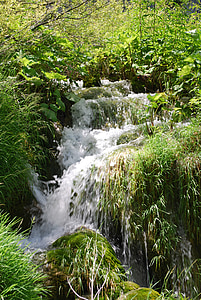 nationalparken Kroatien, vattenfall, Cascade, naturen, Plitvicesjöarna