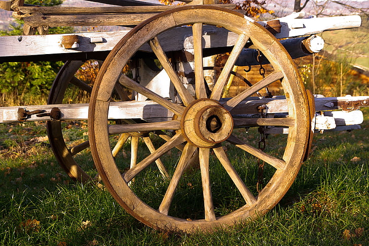 cart, wheel, agriculture, farm, wagon wheel, grass, old-fashioned